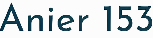 Anier 153